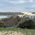 Bolonia