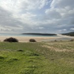 Bolonia