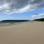 Bolonia