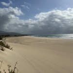 Bolonia