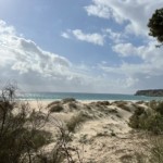 Bolonia