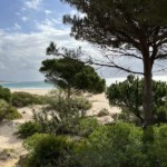 Bolonia