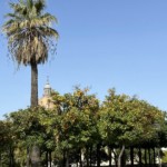 Jerez de la Frontera