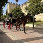 Jerez de la Frontera