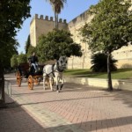 Jerez de la Frontera