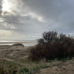 Bolonia