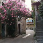 Saint Martin d'Ardèche